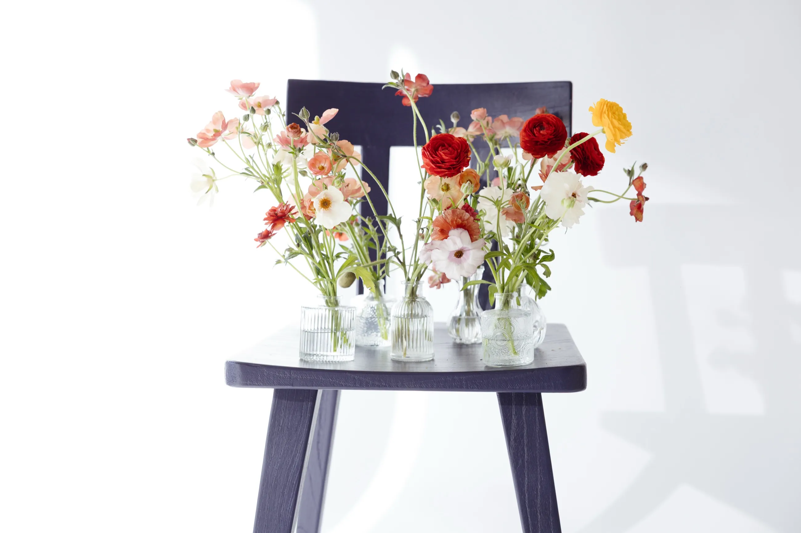 Arreglos de flores de colores en floreros de vidrio sobre un banco de madera azul oscuro con fondo blanco