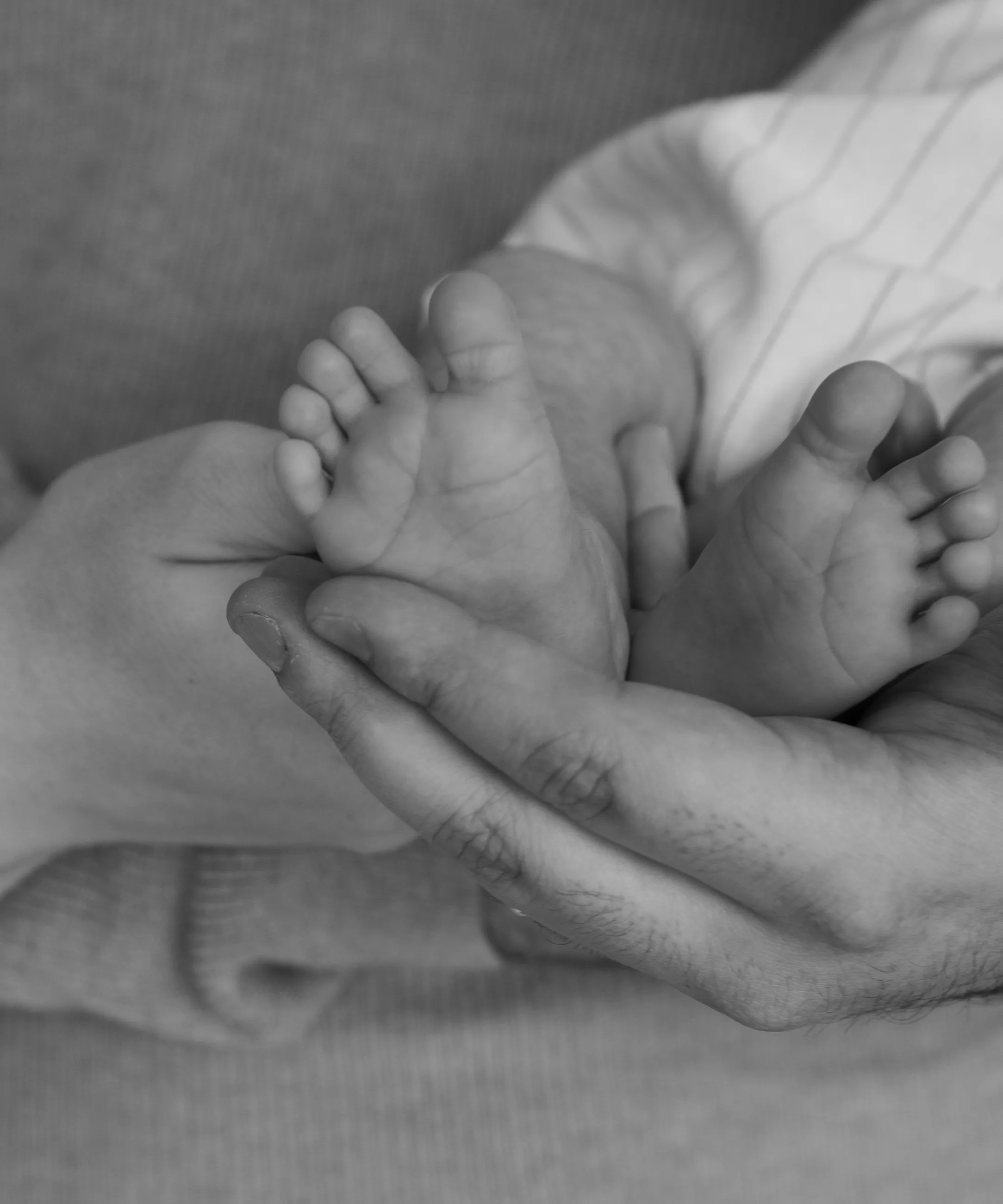 Pies de un bebé recién nacido sostenidos por las manos de un adulto, en blanco y negro